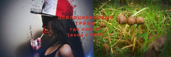 героин Тавда