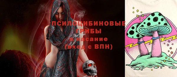 apvp Медвежьегорск
